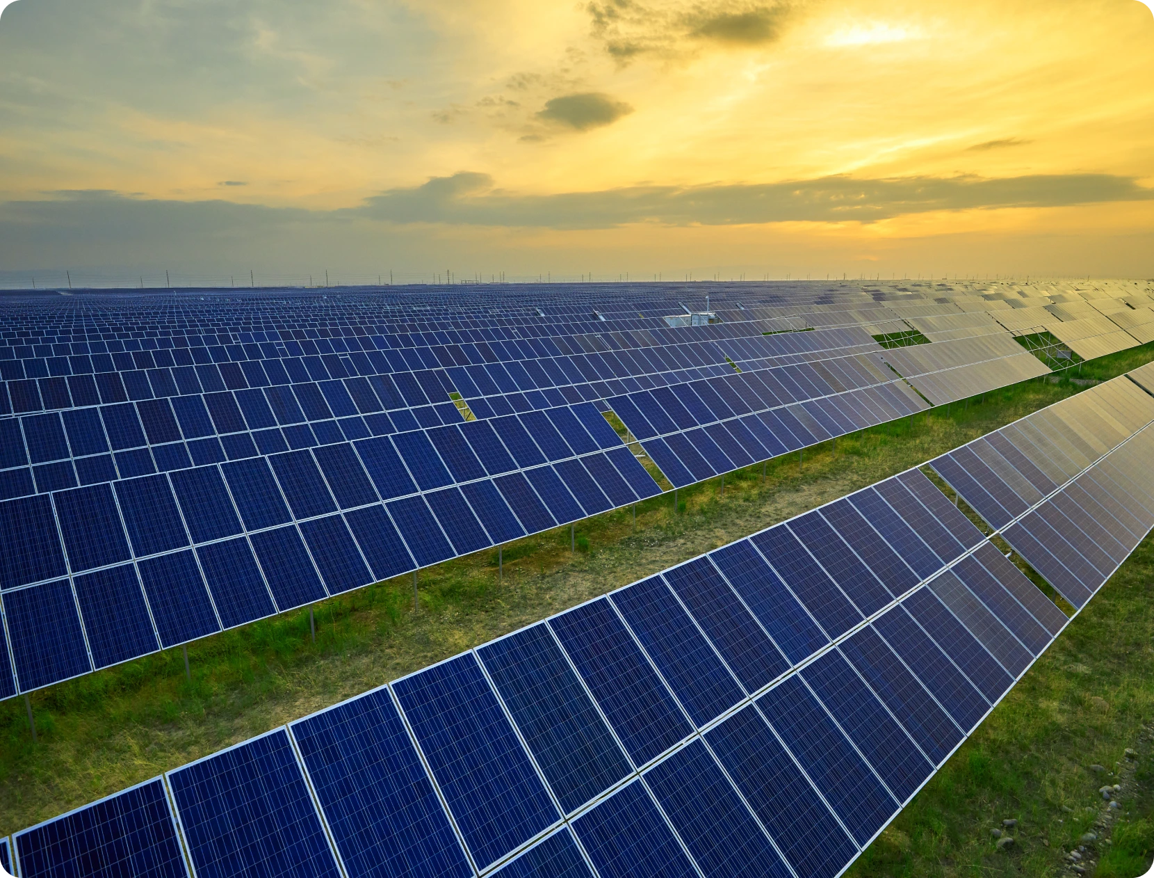 Large solar farm at sunset, with solar panels on the ground surrounded by grass and poles